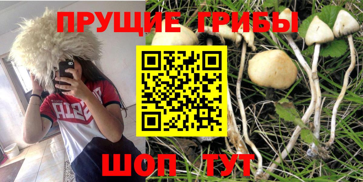 Alpha-PVP СК кристаллы  Лсд 25  Вход с VPN  Меф МЯУ МЯУ   Гашиш  Гашиш  Нижний Тагил  Экстази 