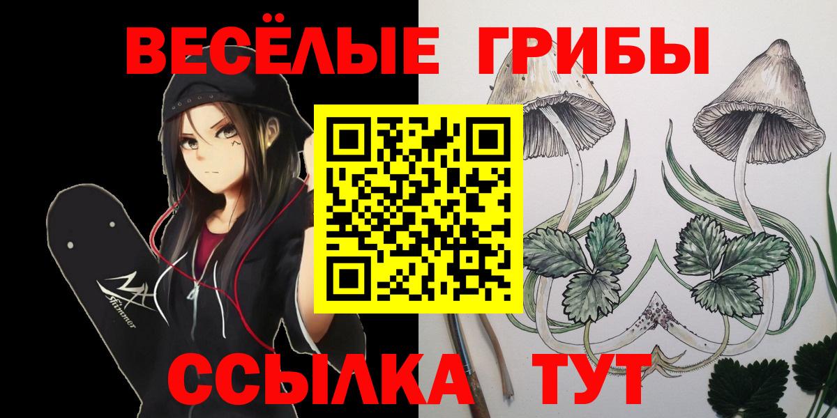Псилоцибиновые грибы мицелий  Вход с VPN  Нижний Тагил 